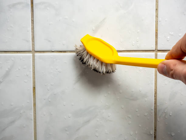 Best Commercial Mold Removal  in Oak Hills, PA