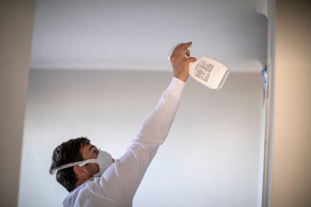 Best Local Mold Removal Service  in Oak Hills, PA