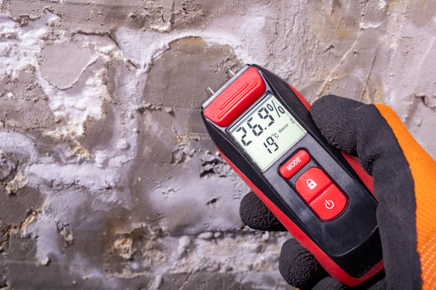 Best Fast Mold Removal  in Oak Hills, PA