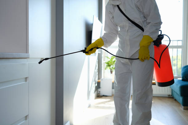 Best Office Mold Removal Services  in Oak Hills, PA
