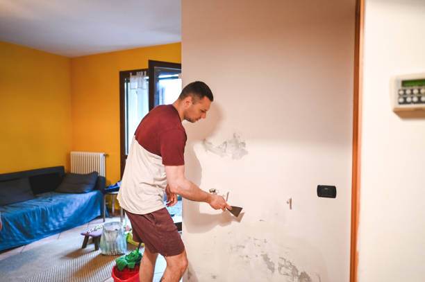 Best Same-Day Mold Removal  in Oak Hills, PA